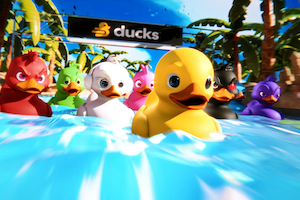 155 Ducks
