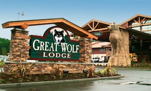 Great Wolf