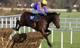 Cheltenham Gold Cup winner Lord Windermere