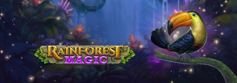 Rainforest Magic 