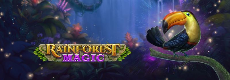 Rainforest Magic