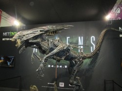 Aliens