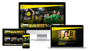 BVB-TV