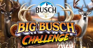 Big Buck