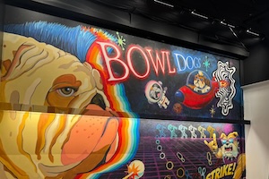 Bowldogs