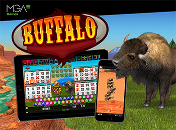 Buffalo bingo
