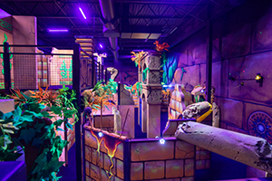 Creative Works installs Indiana Jones laser tag