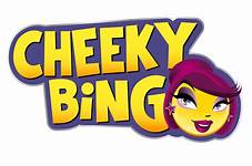 Cheeky Bingo