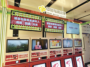 China lottery