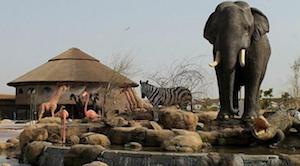 Dubai Safari Park