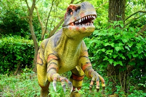 Dinosaur Park Pakistan