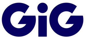 Gaming Innovation Group
