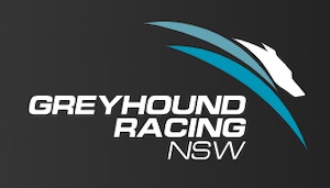 Greyhound Racing NSW, Entain