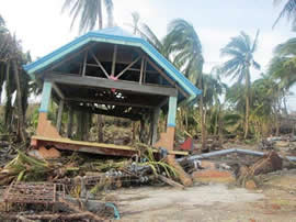 Haiyan devastates parts of the Philippines