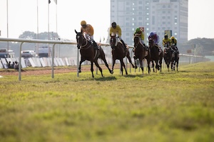 Horse racing