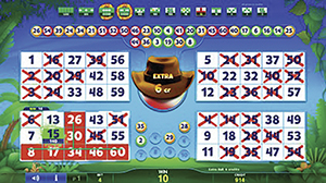 Video bingo