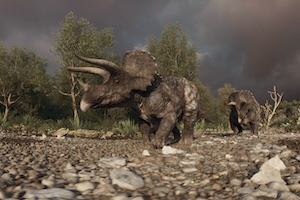 Dino VR