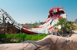 King Cobra