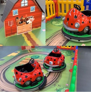 Ladybird Train