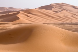 Sahara desert dunes