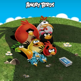 Rovio's Angry Birds