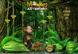 Monkey Adventures