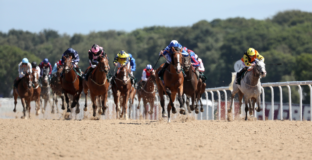 Northumberland Plate 