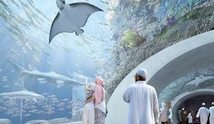 Oman