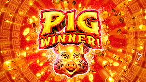 Pig Winner