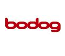 Bodog