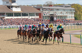 Lingfield Park