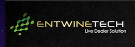 EntwineTech