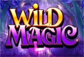 Wild Magic