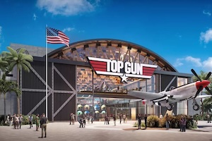 Top Gun