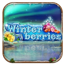 Winterberries from Yggdrasil