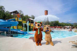Yogi Bear