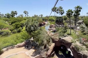Zoo zipline
