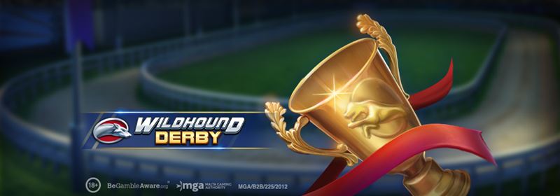 Wildhound Derby