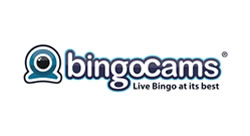 Bingocams
