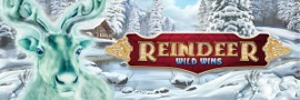 Reindeer Wild Wins