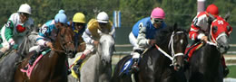 eBet Online horse race wagering