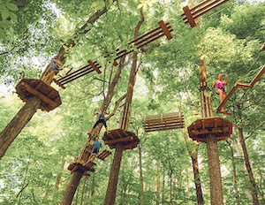 goape