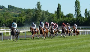 Horse race