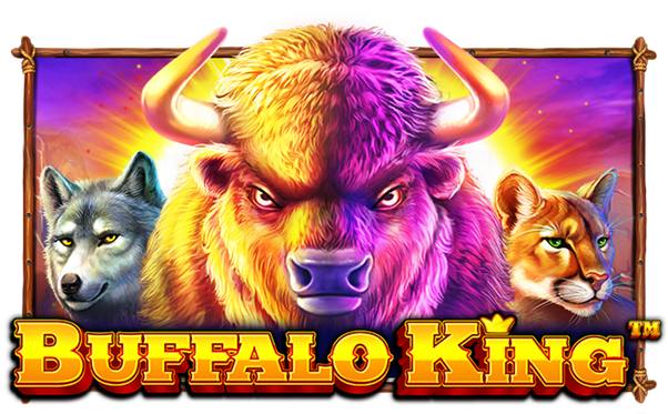 Buffalo King 