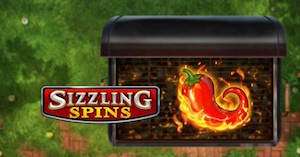 Sizzling Spins