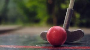 Mini-golf