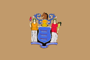 New Jersey flag