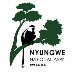 Nyungwe National Park