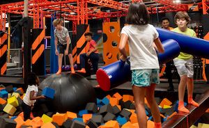 sky zone