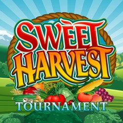 Sweet Harvest